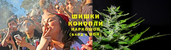 прущие крисы Алзамай