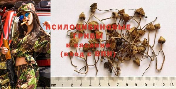 бошки Абинск